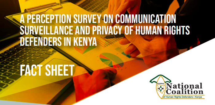 Human Rights And Privacy Analysis Human Rights And Privacy Analysis